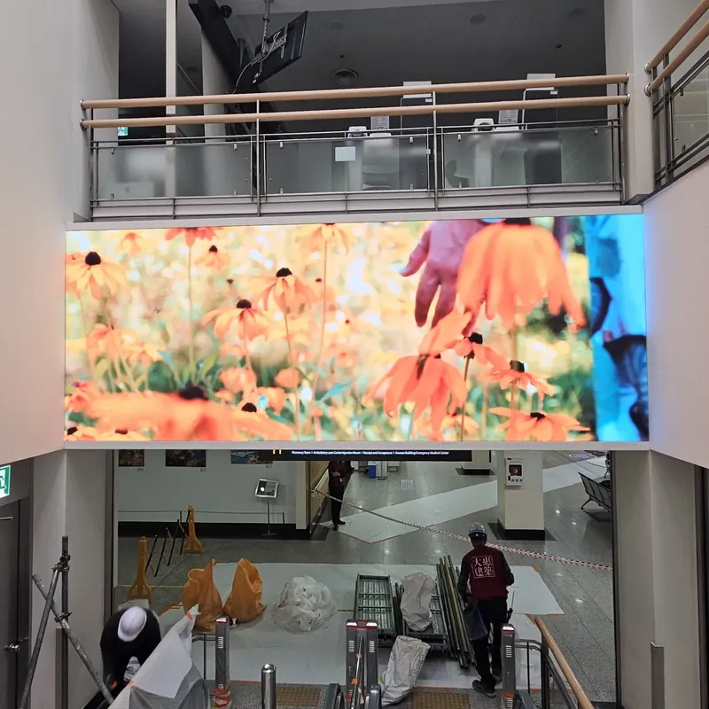 대학병원 에스컬레이터 벽면 LED